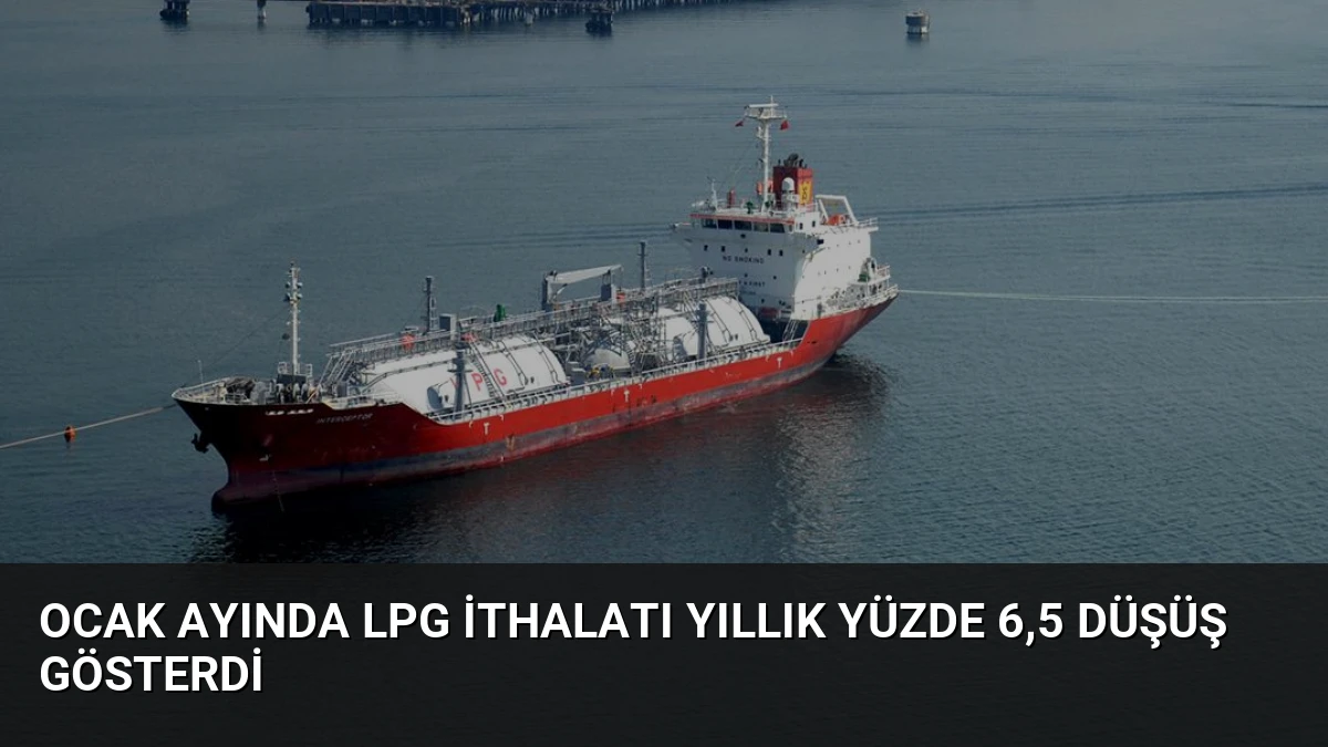 Ocak Ayında LPG İthalatı Yıllık Yüzde 6,5 Düşüş Gösterdi