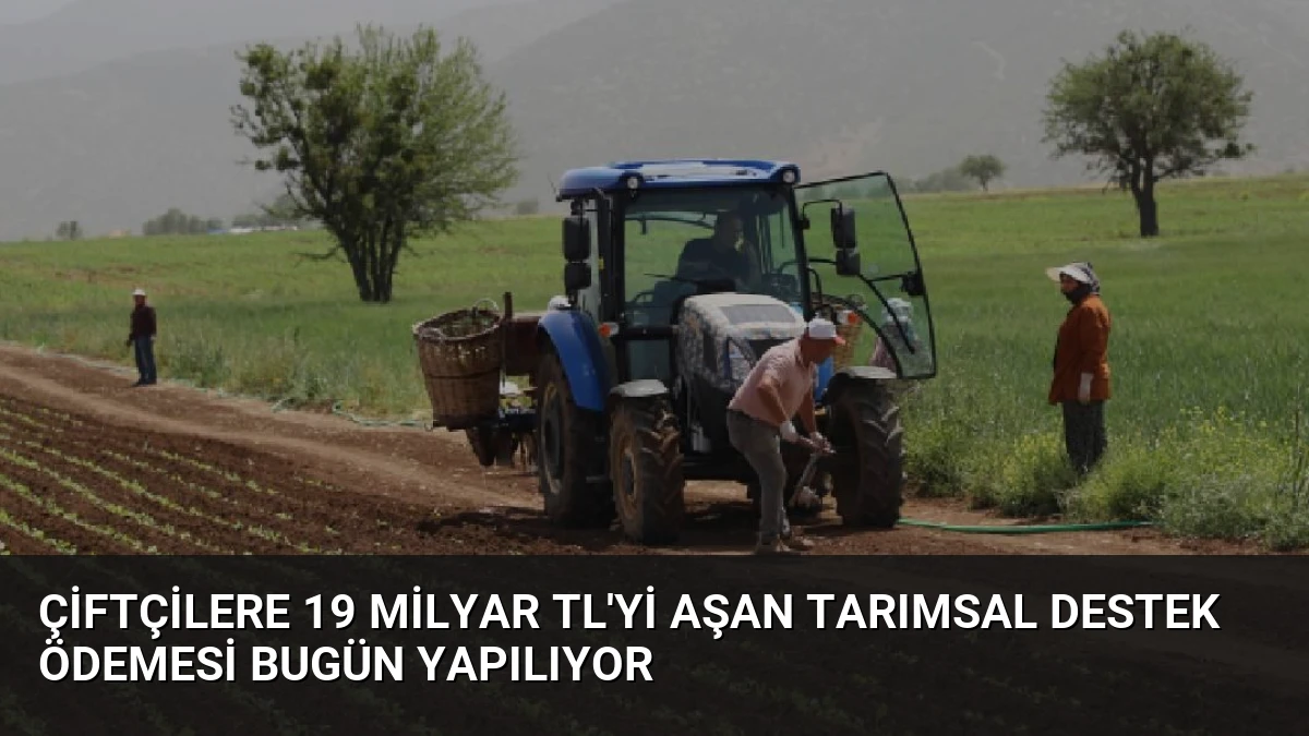 Çiftçilere 19 Milyar TL’yi Aşan Tarımsal Destek Ödemesi Bugün Yapılıyor