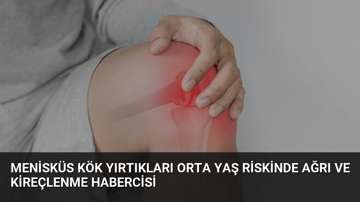 Menisküs Kök Yırtıkları Orta Yaş Riskinde Ağrı ve Kireçlenme Habercisi
