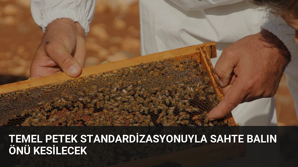 Temel Petek Standardizasyonuyla Sahte Balın Önü Kesilecek
