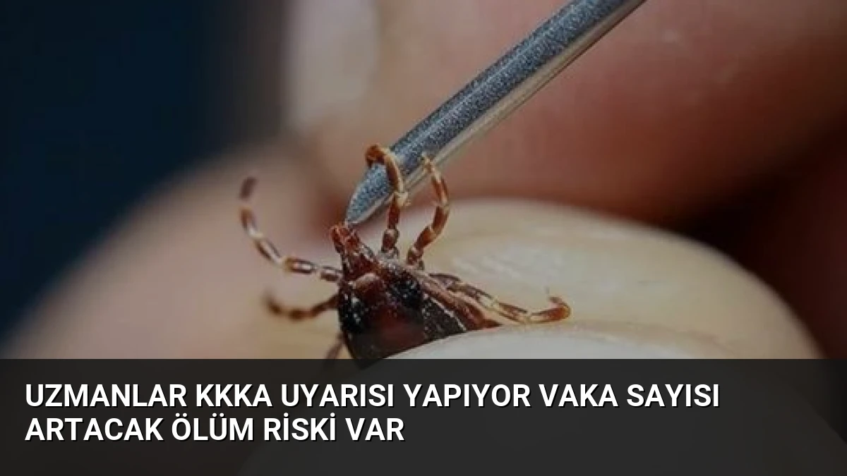 Uzmanlar KKKA Uyarısı Yapıyor Vaka Sayısı Artacak Ölüm Riski Var