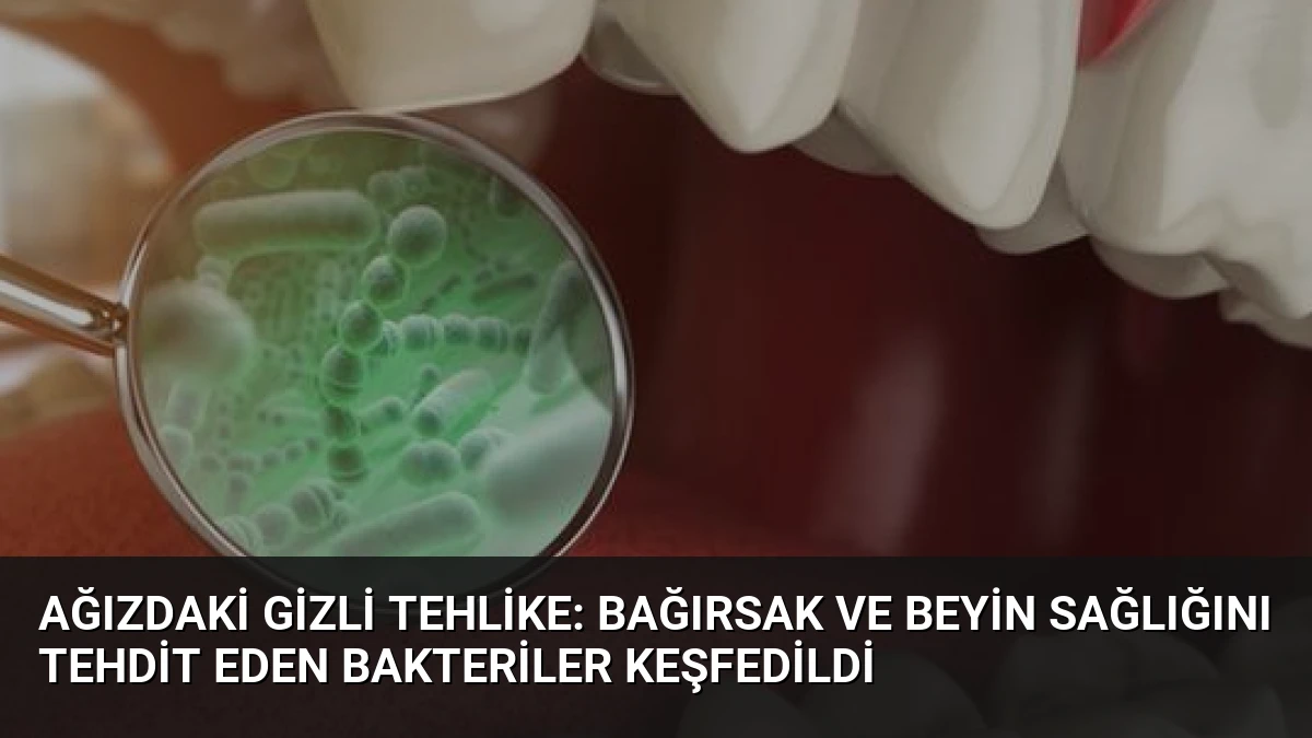 Ağızdaki Gizli Tehlike: Bağırsak ve Beyin Sağlığını Tehdit Eden Bakteriler Keşfedildi