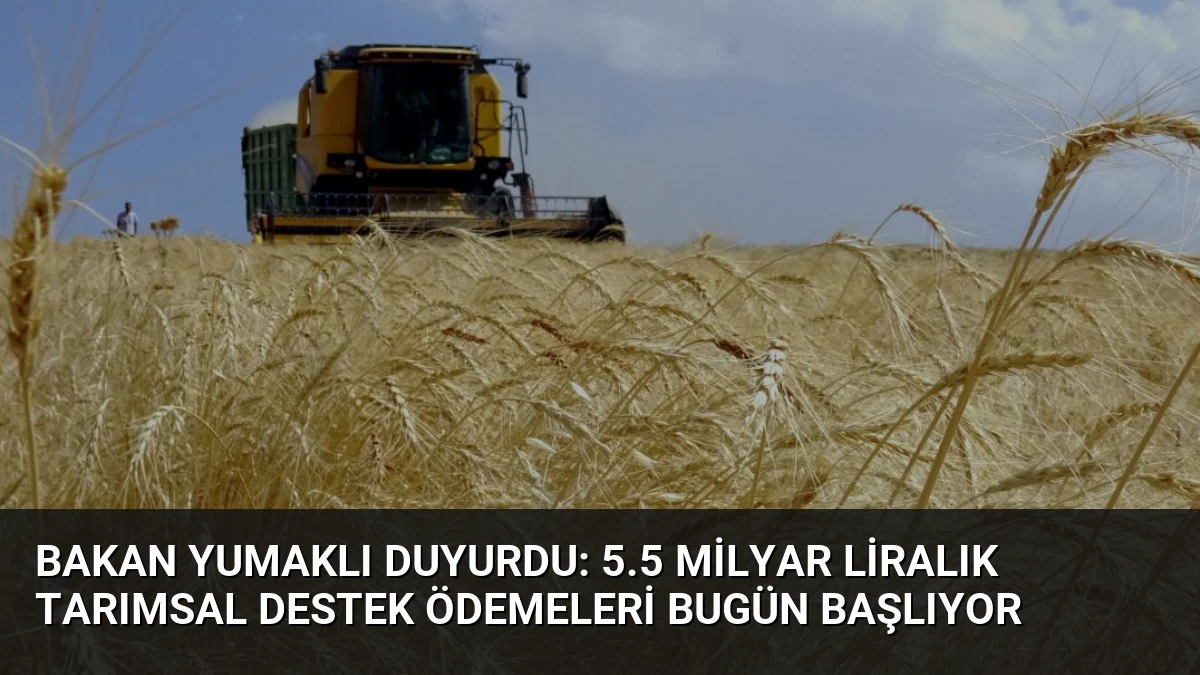 Bakan Yumaklı Duyurdu: 5.5 Milyar Liralık Tarımsal Destek Ödemeleri Bugün Başlıyor