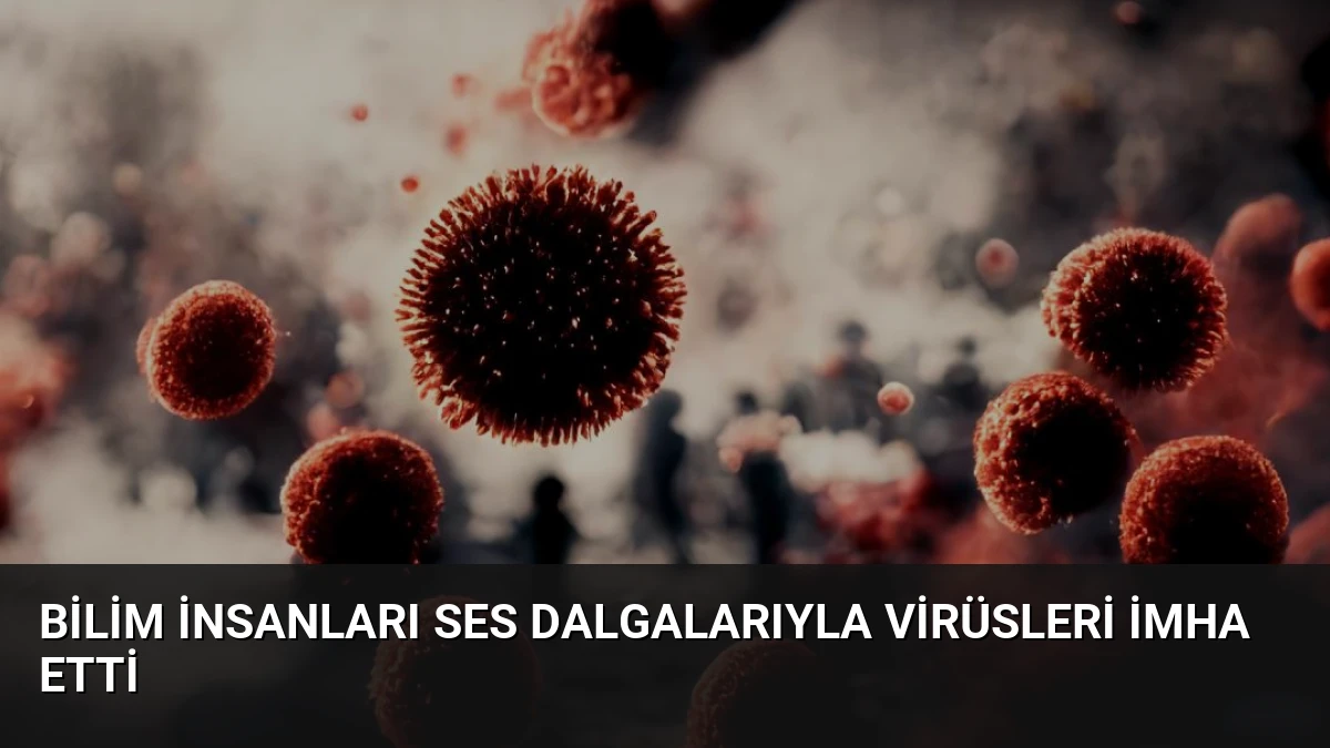 Bilim İnsanları Ses Dalgalarıyla Virüsleri İmha Etti