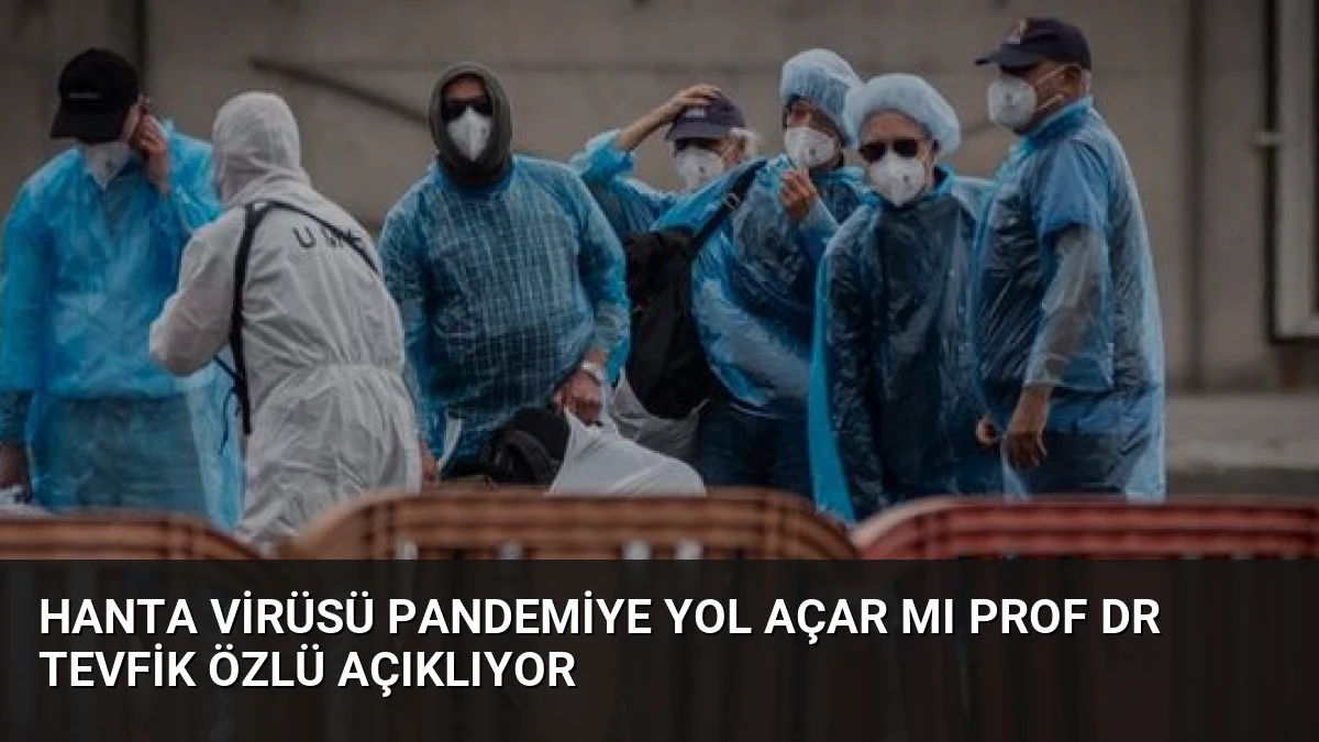 Hanta Virüsü Pandemiye Yol Açar mı Prof Dr Tevfik Özlü Açıklıyor