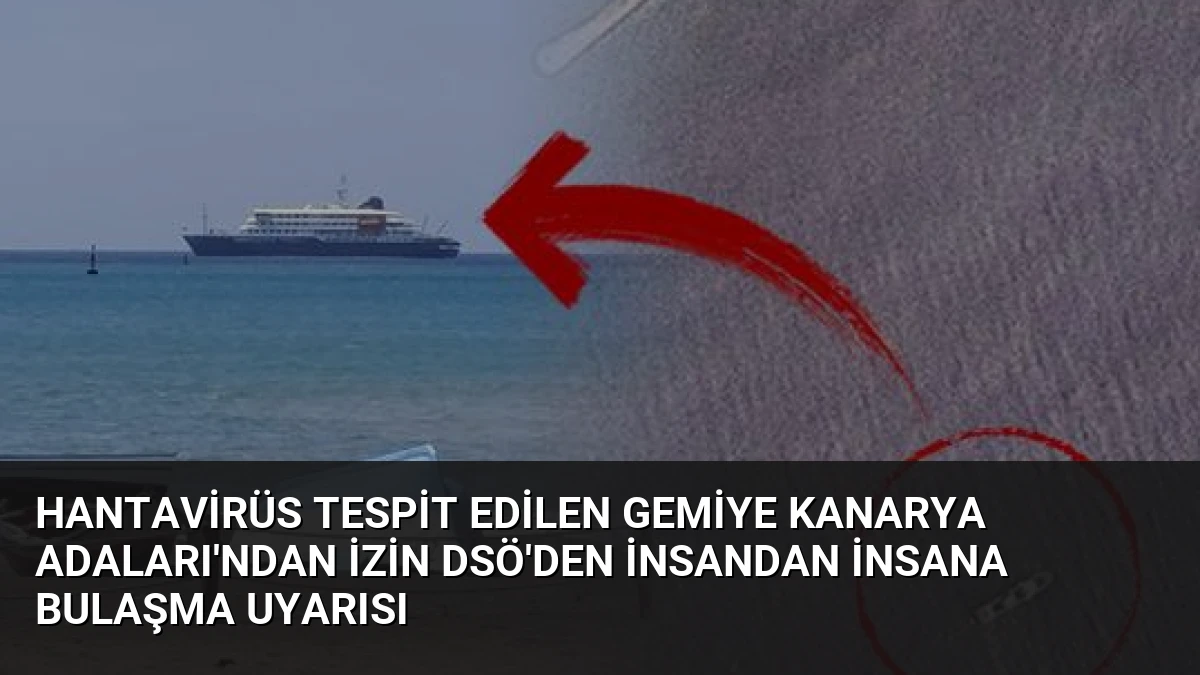 Hantavirüs Tespit Edilen Gemiye Kanarya Adaları’ndan İzin DSÖ’den İnsandan İnsana Bulaşma Uyarısı