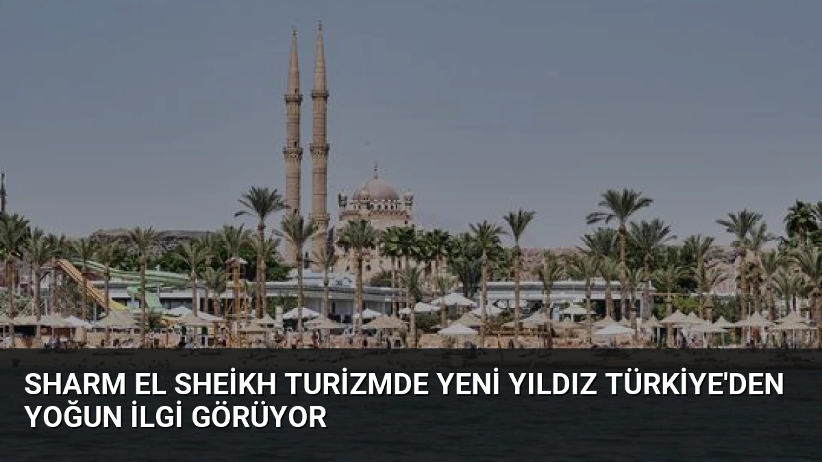 Sharm El Sheikh Turizmde Yeni Yıldız Türkiye’den Yoğun İlgi Görüyor