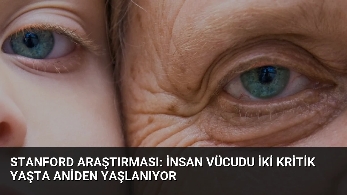 Stanford Araştırması: İnsan Vücudu İki Kritik Yaşta Aniden Yaşlanıyor