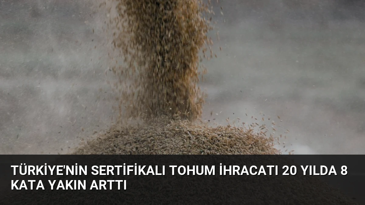 Türkiye’nin Sertifikalı Tohum İhracatı 20 Yılda 8 Kata Yakın Arttı