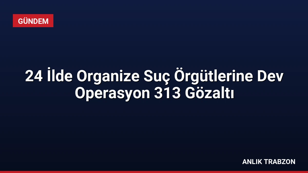 24 İlde Organize Suç Örgütlerine Dev Operasyon 313 Gözaltı