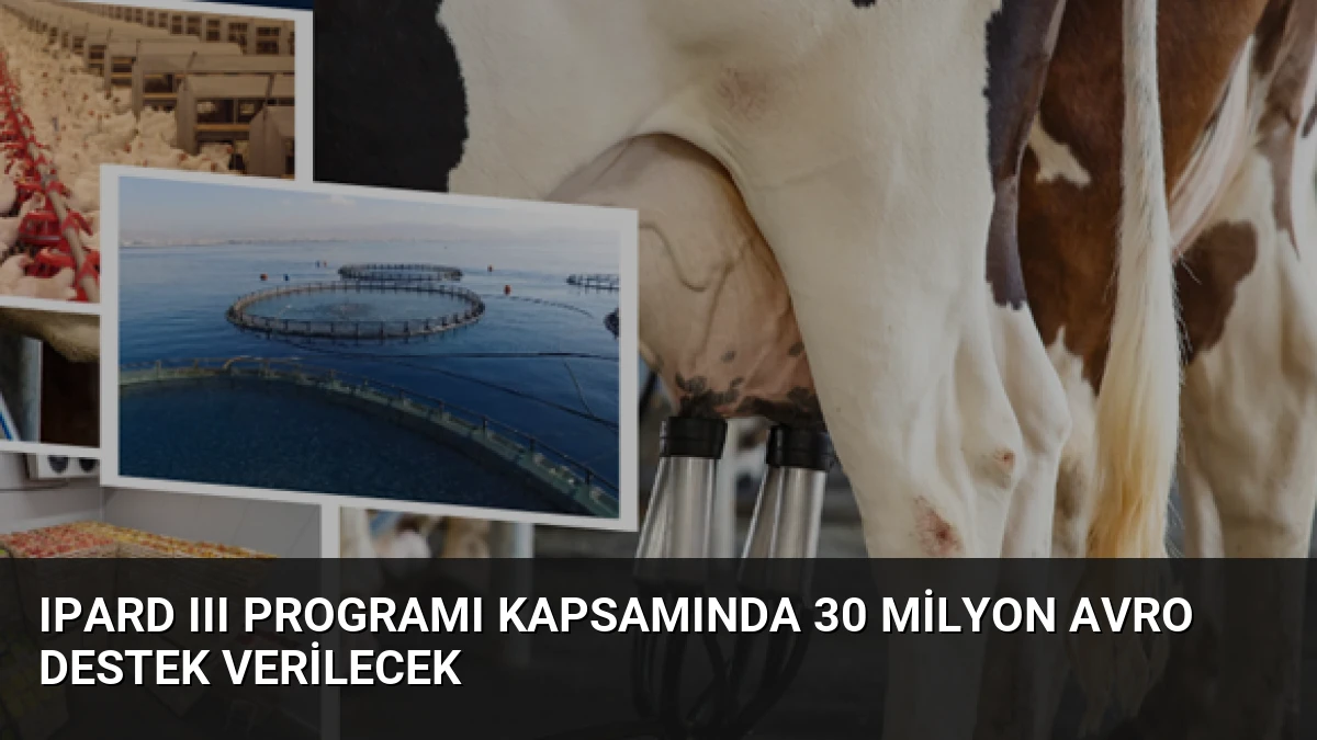 IPARD III Programı kapsamında 30 milyon avro destek verilecek