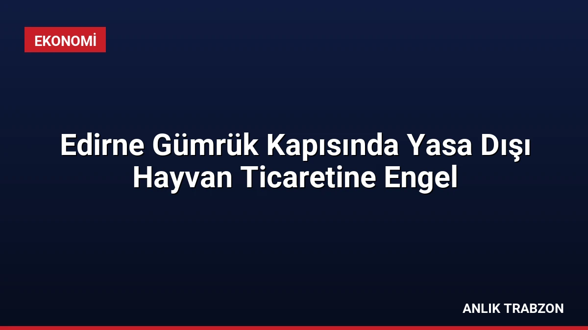Edirne Gümrük Kapısında Yasa Dışı Hayvan Ticaretine Engel