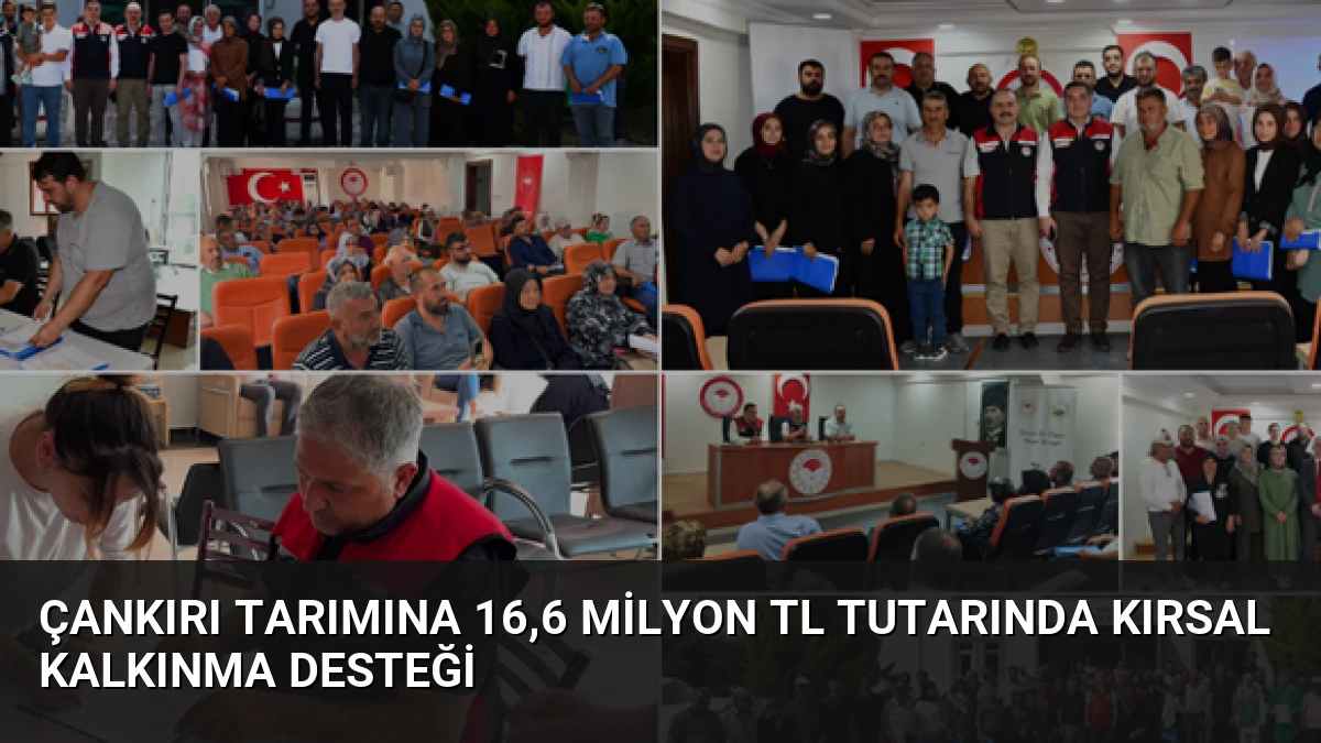 Çankırı Tarımına 16,6 Milyon TL Tutarında Kırsal Kalkınma Desteği