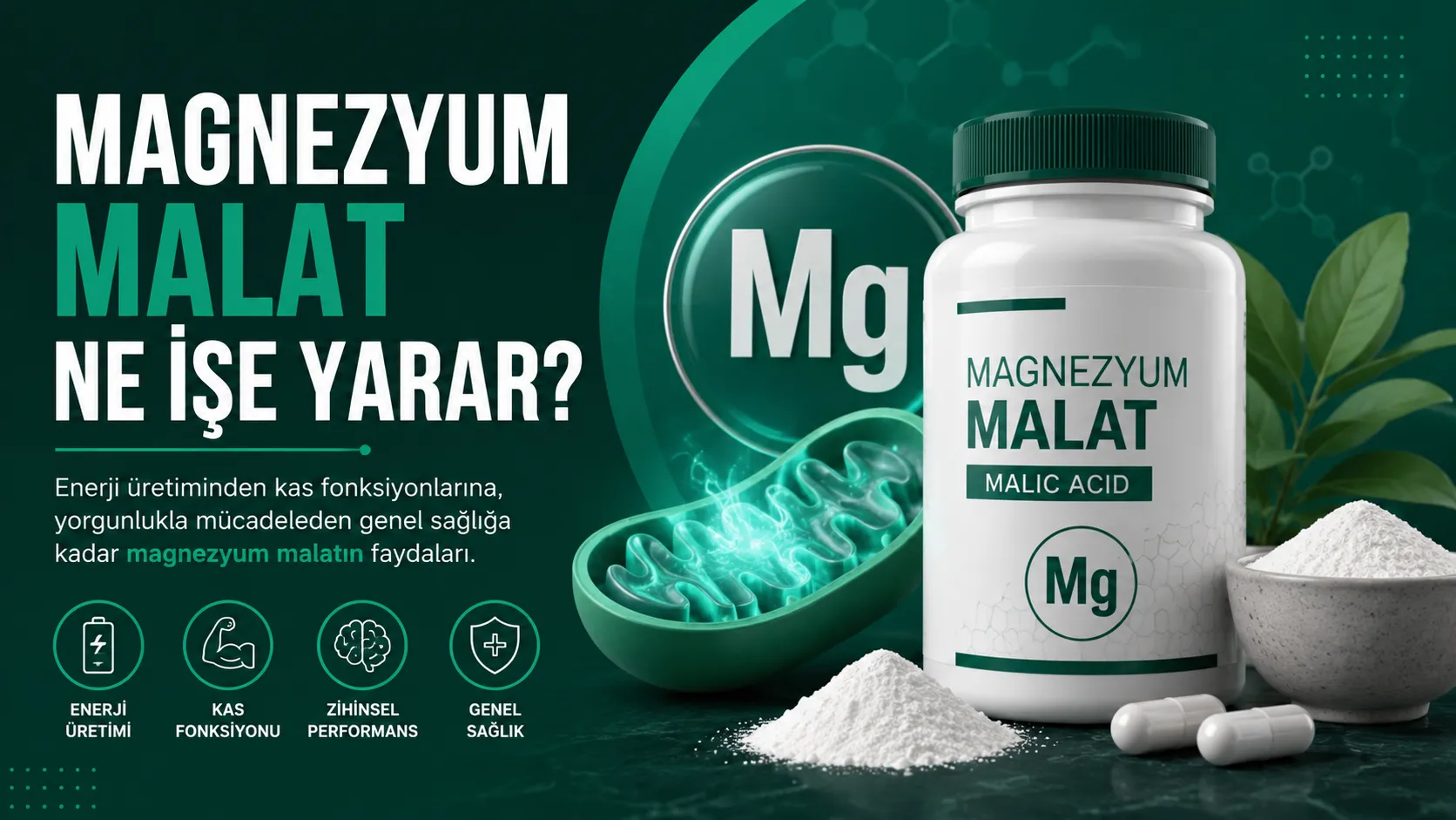 Magnezyum Malat Ne İşe Yarar?
